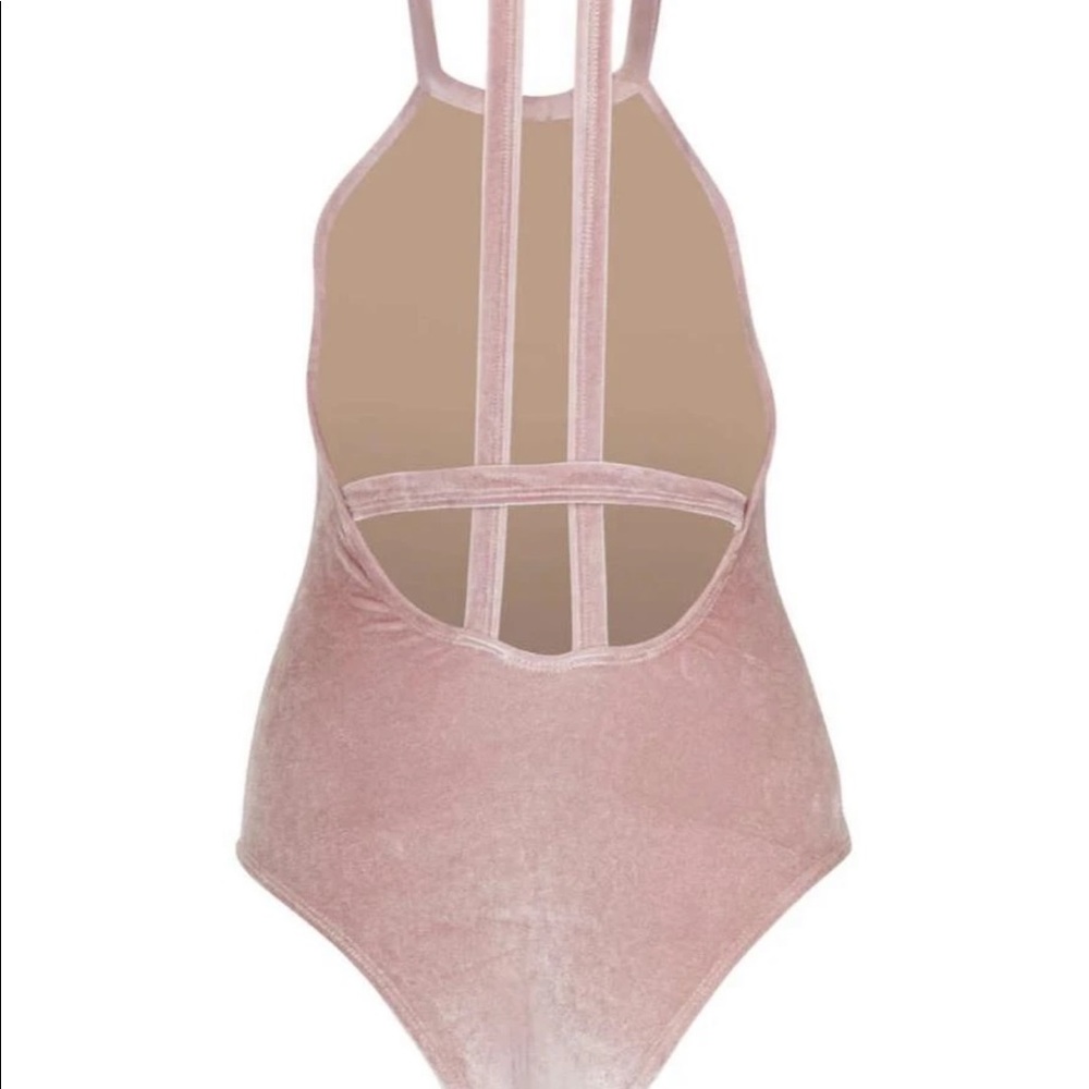 Sauipe Swim Blush Velvet Swimsuit - Picture 5 of 6